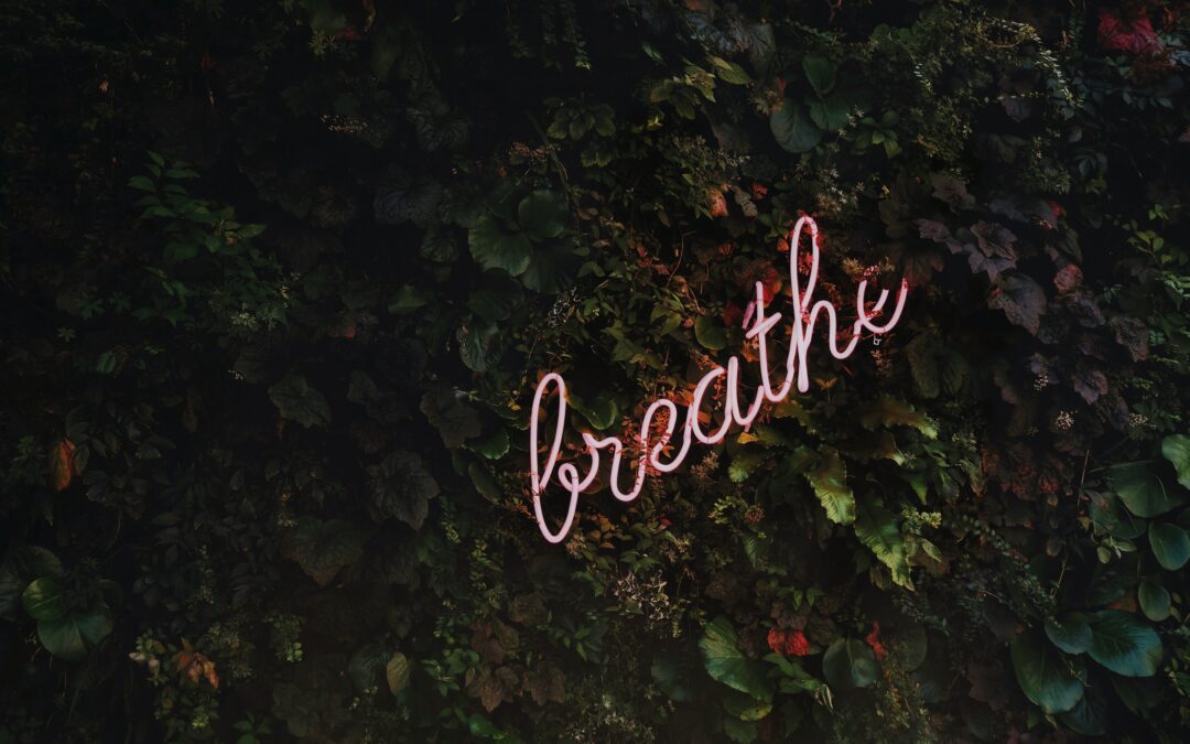 Making Self-Care Part Of A Holistic Lifestyle If there was ever a time to practice self-care, these last few months are it. You don't need an excuse, however, to practice self-care. It's something we should all do regularly to prioritize our overall health. Self-care habits are an integral part of a healthy, balanced lifestyle. A Holistic Approach is Needed If you want a healthy lifestyle, you'll need to consider a holistic approach that includes caring for both mind and body. The importance of eating healthy and exercising get a lot of attention. Unfortunately, self-care sometimes gets far less regard, although it's a significant component of our health. It can help you develop better body and mental health awareness, helping you maintain correct exercise and eating habits. What is Self-Care? Self-care is doing something good for body and mind. While it can look different for each person, it should address the body and mind. Sometimes, when you address one, you also help the other. For example, yoga can be very calming, yet it's good exercise. Meditation isn't a form of exercise, but it can be very calming and even healing. Breathing techniques can help both mind and body. Customize Self-Care Keep in mind that works for you might not work for someone else. You should find and practice whatever form of self-care works best for your body, mind, and schedule. You can do just one thing or several. You might choose something that's pampering. For example, massage is considered a form of pampering, and, yet, it can be very healing for the body. Sleep Matters Any holistic approach to our health needs to include quality sleep. It's as essential for the body as exercise. If you're not getting a good night's sleep, you're not functioning at your best. Most of us need a minimum of seven to eight hours of good sleep. A good night's rest is a form of self-care. Try Something New If you maintain a pretty rigorous fitness schedule, self-care might mean slowing it down one day a month or even a week. Taking a day off from your high-intensity fitness routine can be a form of self-care, and it doesn't have to mean no exercise at all. Instead, try a nature walk, yoga class, or pilates class. Make It a Habit Self-care should be a habit, so try to make it a regular part of your life, along with exercise and healthy eating habits. If you need to, write it into your schedule, just like you would with workouts or other important events in your life.