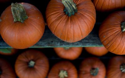 5 Healthy Pumpkin Recipes- And Cooking Websites!